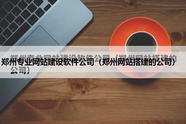 郑州专业网站建设软件公司（郑州网站搭建的公司）