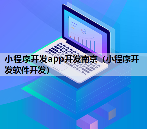 小程序开发app开发南京（小程序开发软件开发）