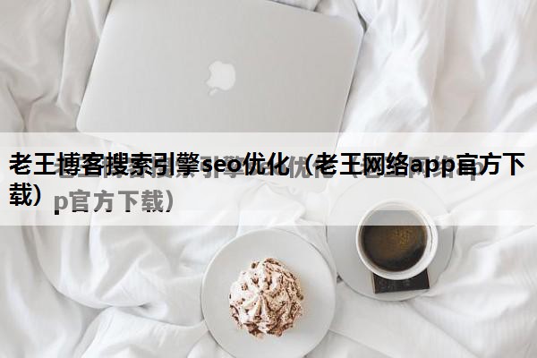 老王博客搜索引擎seo优化（老王网络app官方下载）